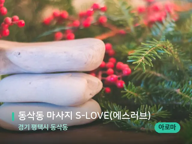 경기 평택시 동삭동 동삭동 마사지 S-LOVE(에스러브) — 핫스톤을 올린 관리 장면