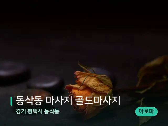 경기 평택시 동삭동 동삭동 마사지 골드마사지 — 핫스톤을 올린 관리 장면
