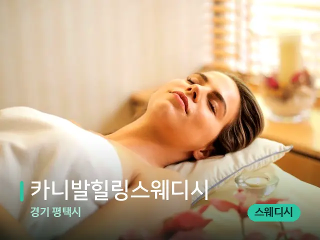 경기 평택시 카니발힐링스웨디시 — 스파 마사지 베드