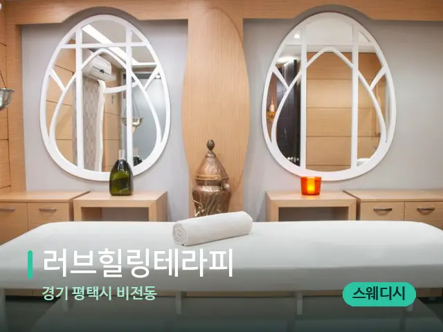 경기 평택시 비전동 러브힐링테라피 — 스파 마사지 베드