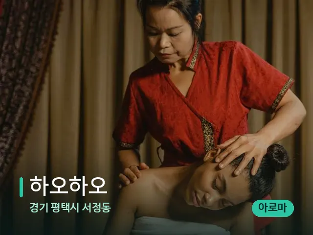 경기 평택시 서정동 하오하오 — 스파 마사지 베드