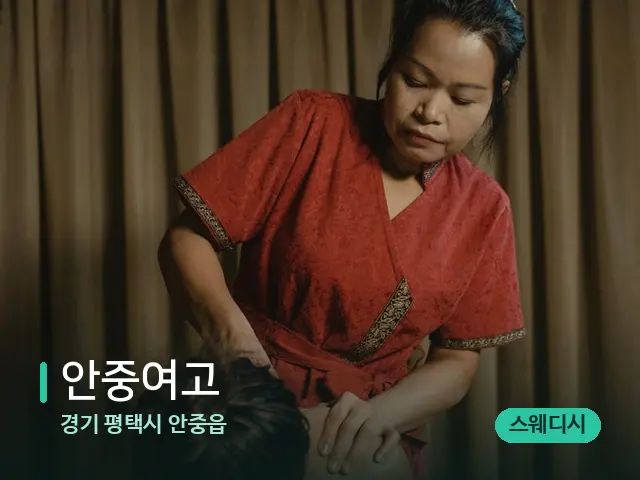 경기 평택시 안중읍 안중여고 — 스파 마사지 베드