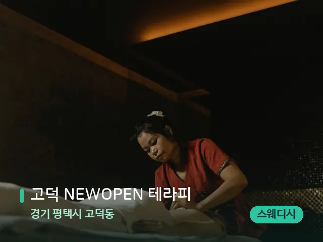 경기 평택시 고덕동 고덕 NEWOPEN 테라피 — 스파 마사지 베드
