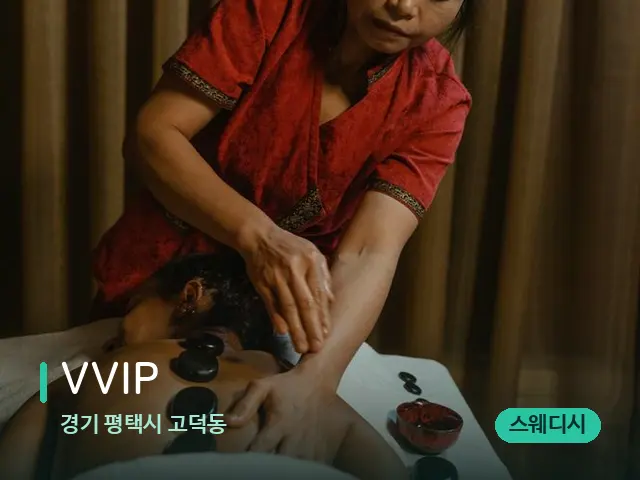 경기 평택시 고덕동 VVIP — 스파 마사지 베드