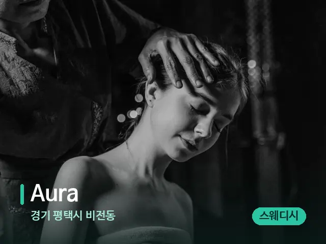 경기 평택시 비전동 Aura — 스파 마사지 베드