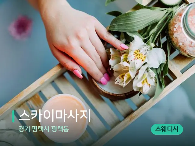 경기 평택시 평택동 스카이마사지 — 스파 마사지 베드