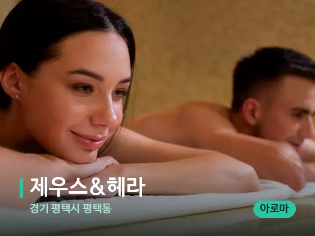 경기 평택시 평택동 제우스&헤라 — 스파 마사지 베드