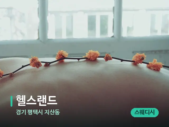 경기 평택시 지산동 헬스랜드 — 마사지 관리를 받는 장면