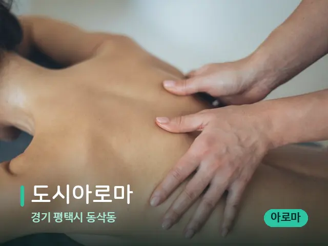 경기 평택시 동삭동 도시아로마 — 마사지 관리를 받는 장면