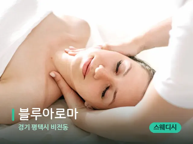 경기 평택시 비전동 블루아로마 — 마사지 관리를 받는 장면