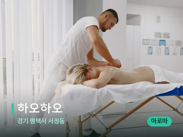 경기 평택시 서정동 하오하오 — 마사지 관리를 받는 장면