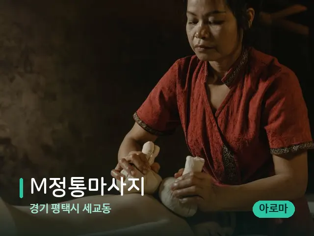 경기 평택시 세교동 M정통마사지 — 마사지 관리를 받는 장면