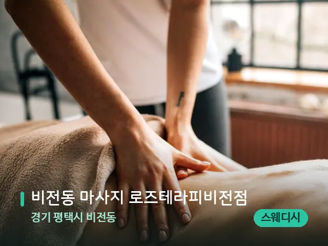 경기 평택시 비전동 비전동 마사지 로즈테라피비전점 — 마사지 관리를 받는 장면