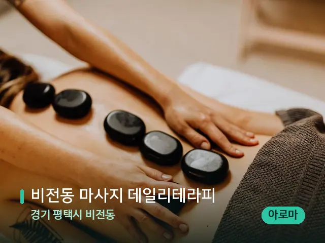 경기 평택시 비전동 비전동 마사지 데일리테라피 — 마사지 관리를 받는 장면
